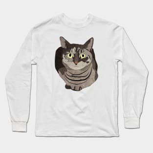 Gray Striped Cat Long Sleeve T-Shirt